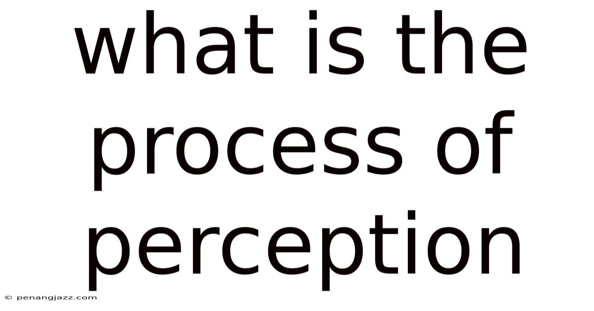 What Is The Process Of Perception