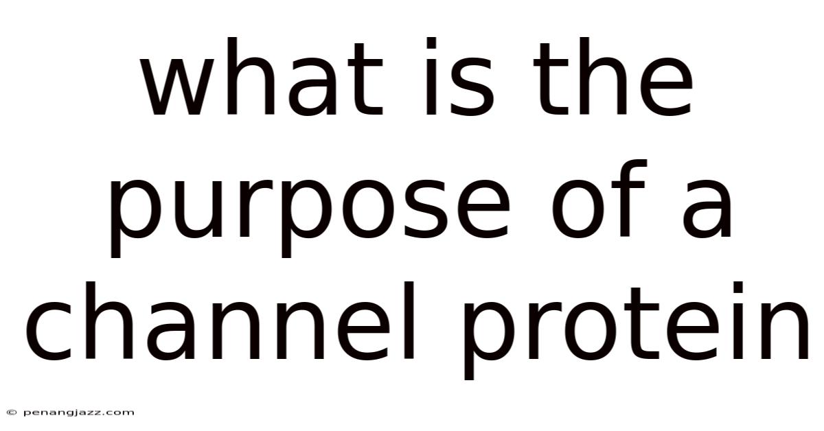 What Is The Purpose Of A Channel Protein