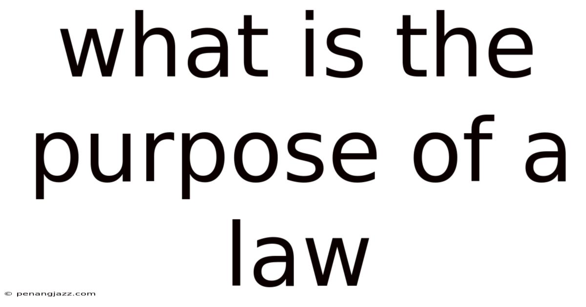 What Is The Purpose Of A Law