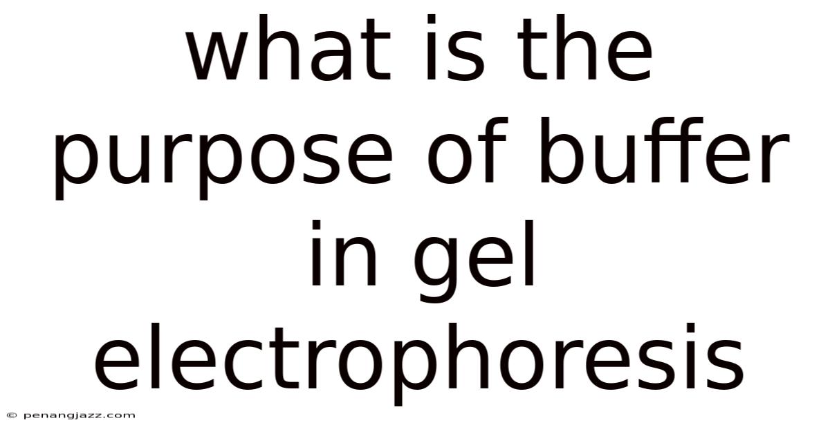 What Is The Purpose Of Buffer In Gel Electrophoresis