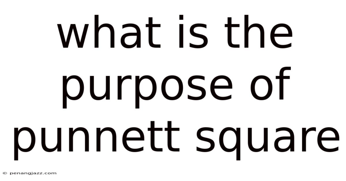 What Is The Purpose Of Punnett Square