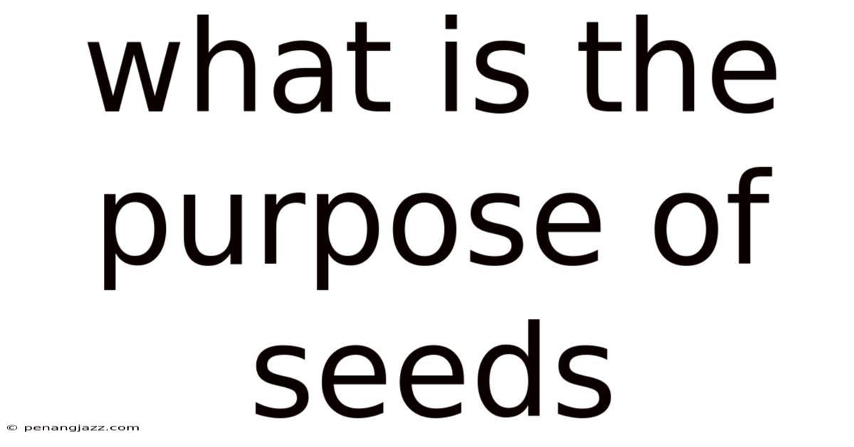 What Is The Purpose Of Seeds