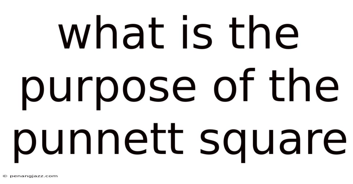 What Is The Purpose Of The Punnett Square