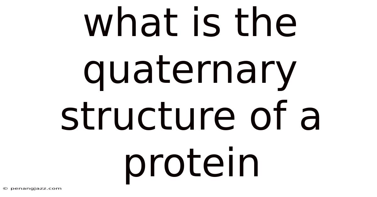 What Is The Quaternary Structure Of A Protein