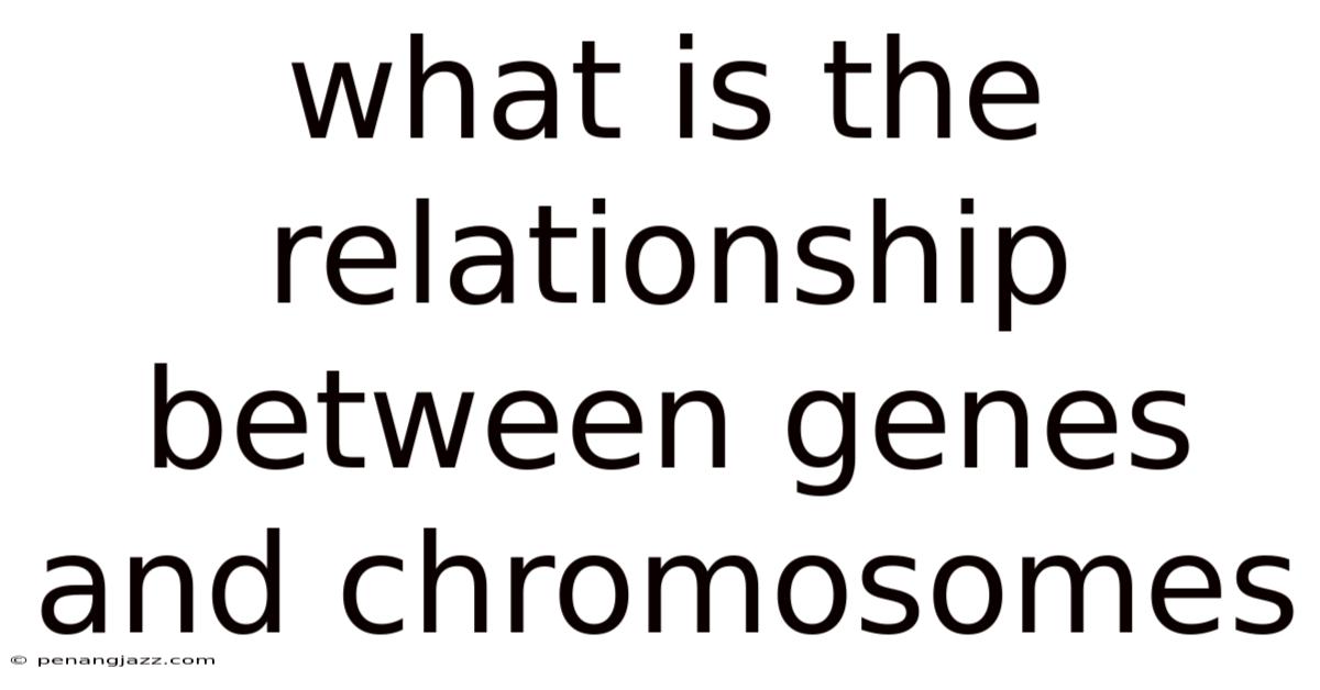 What Is The Relationship Between Genes And Chromosomes