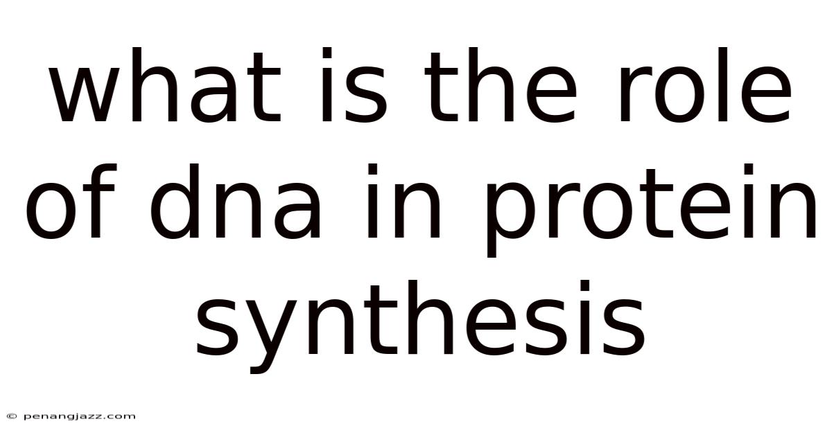 What Is The Role Of Dna In Protein Synthesis