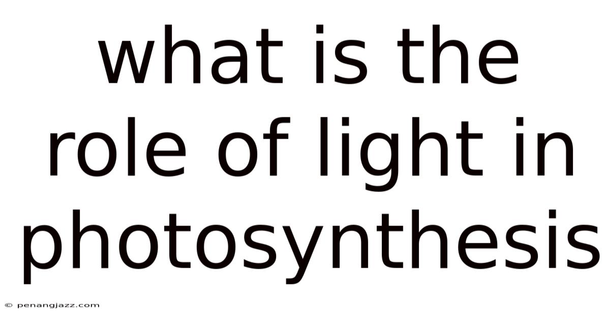 What Is The Role Of Light In Photosynthesis