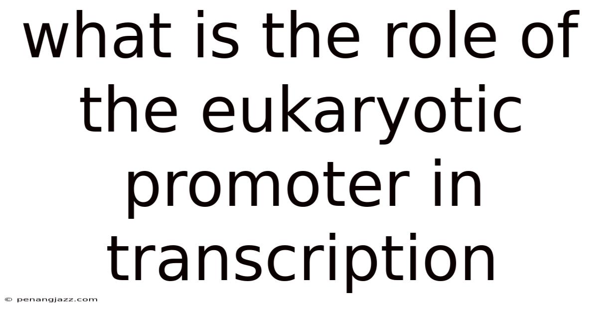 What Is The Role Of The Eukaryotic Promoter In Transcription