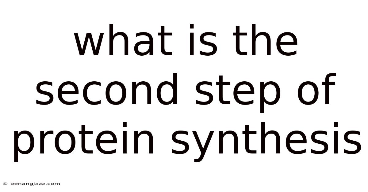 What Is The Second Step Of Protein Synthesis