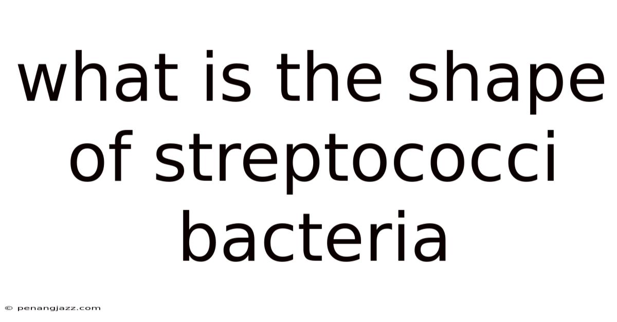 What Is The Shape Of Streptococci Bacteria