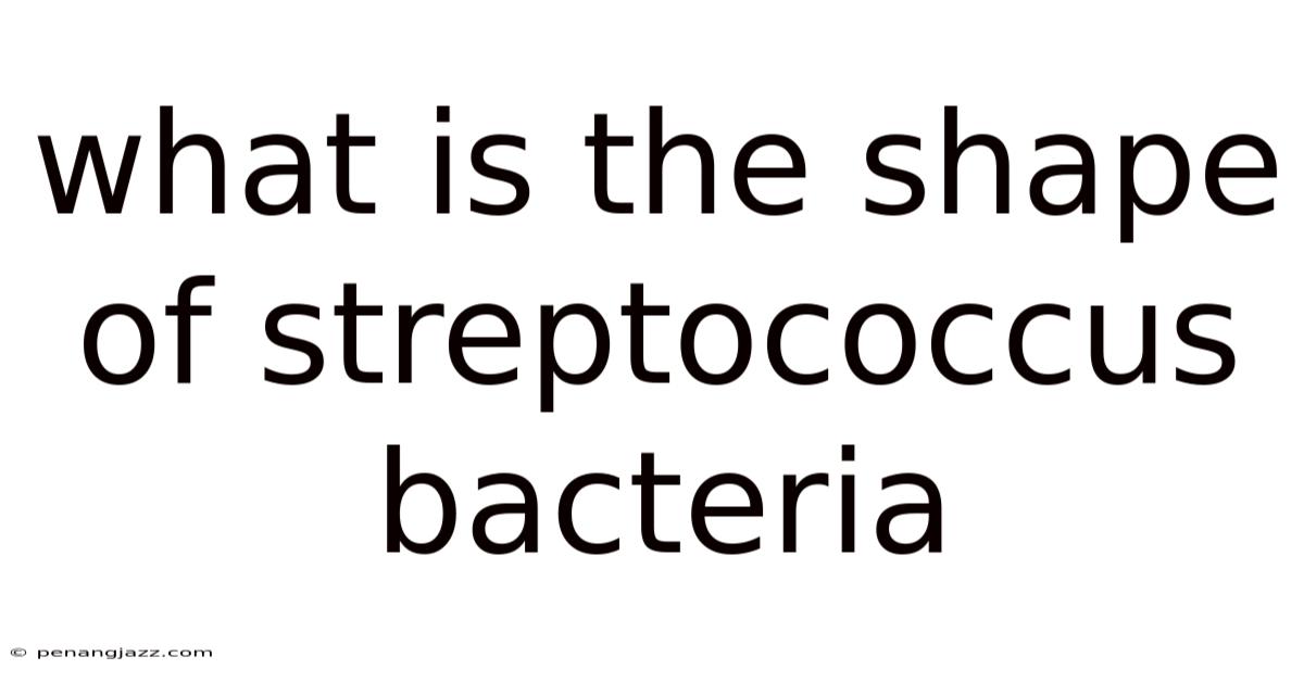 What Is The Shape Of Streptococcus Bacteria