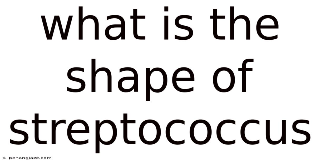 What Is The Shape Of Streptococcus