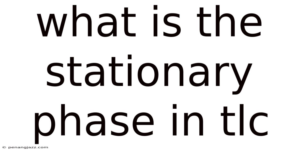 What Is The Stationary Phase In Tlc