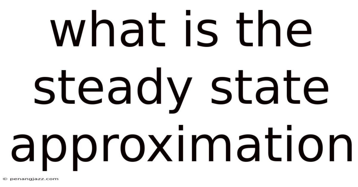 What Is The Steady State Approximation