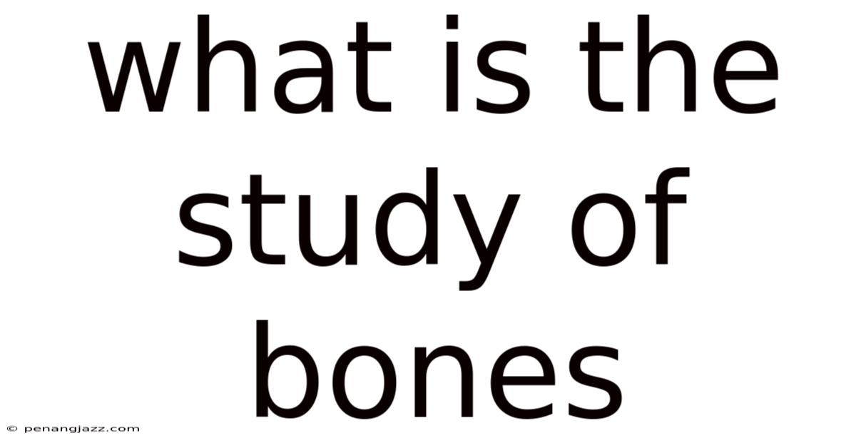 What Is The Study Of Bones