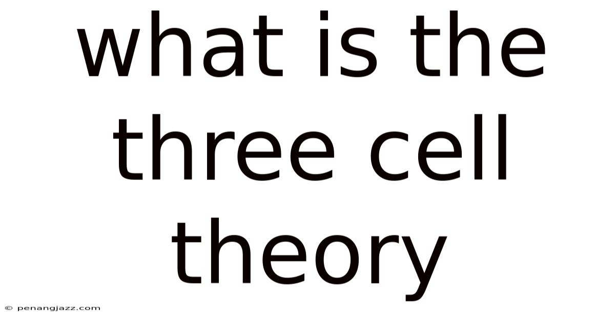 What Is The Three Cell Theory