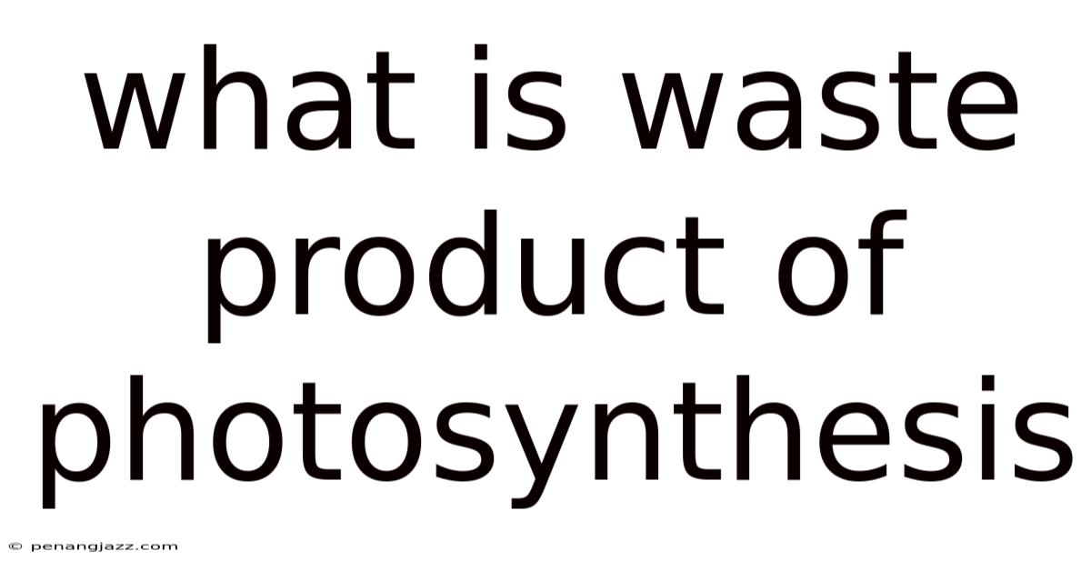 What Is Waste Product Of Photosynthesis