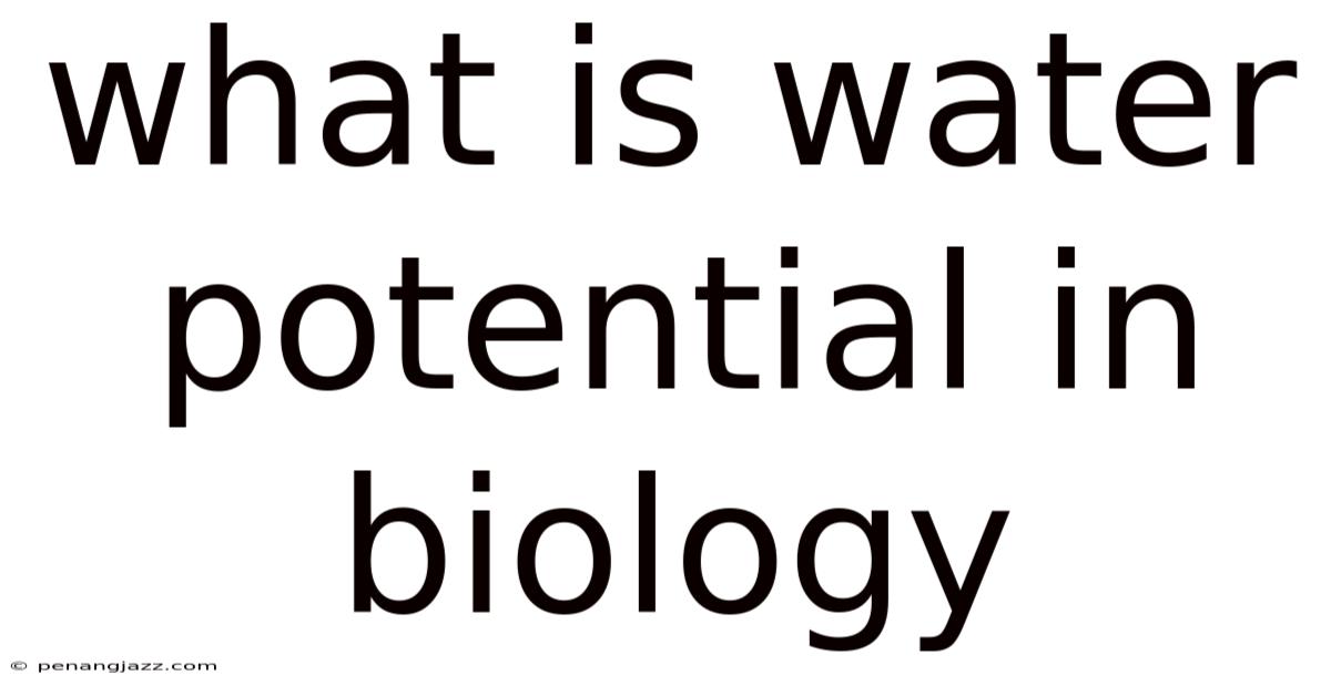 What Is Water Potential In Biology