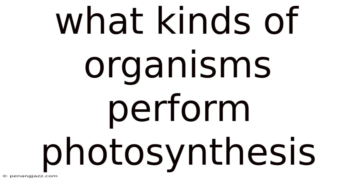 What Kinds Of Organisms Perform Photosynthesis