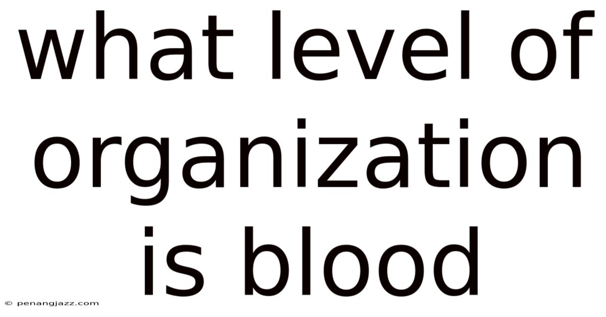 What Level Of Organization Is Blood
