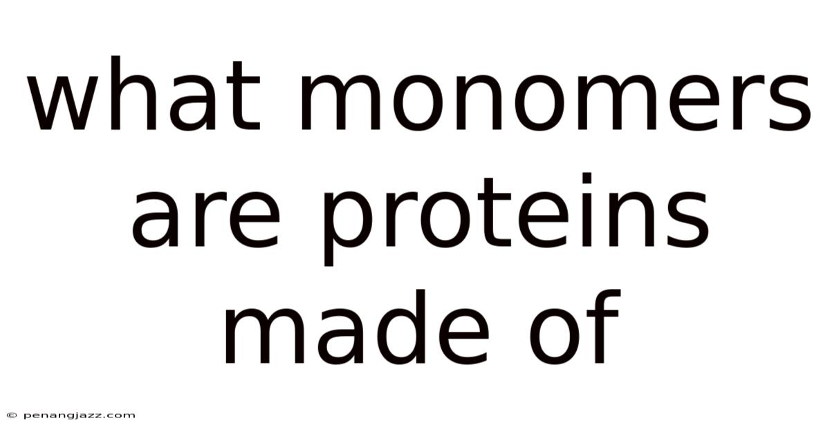 What Monomers Are Proteins Made Of