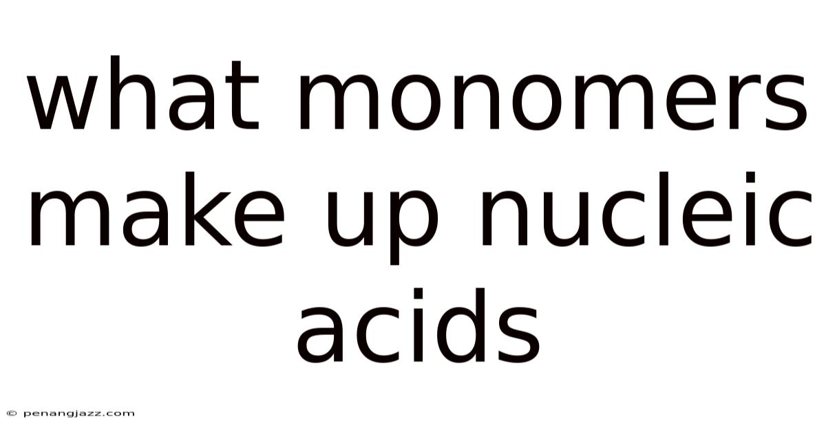 What Monomers Make Up Nucleic Acids