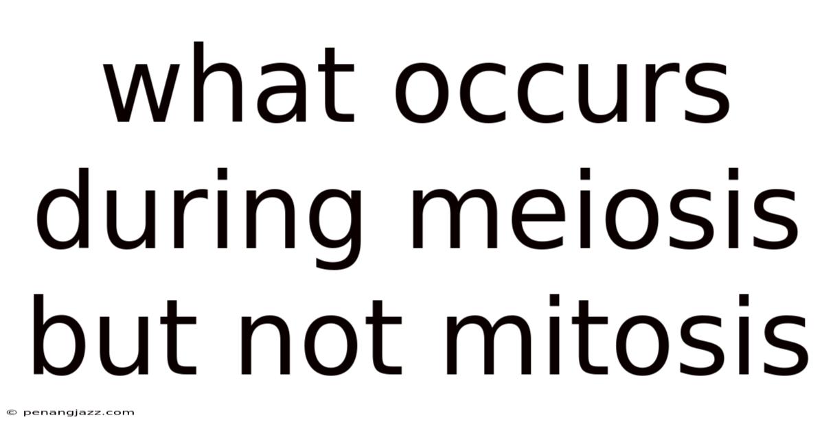 What Occurs During Meiosis But Not Mitosis