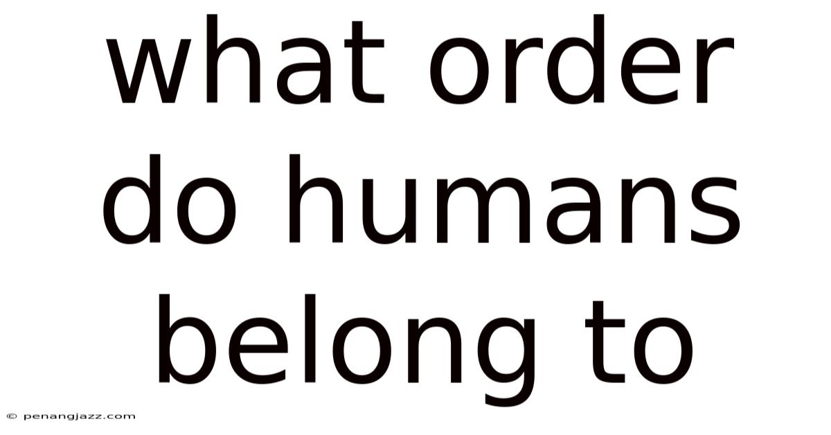 What Order Do Humans Belong To