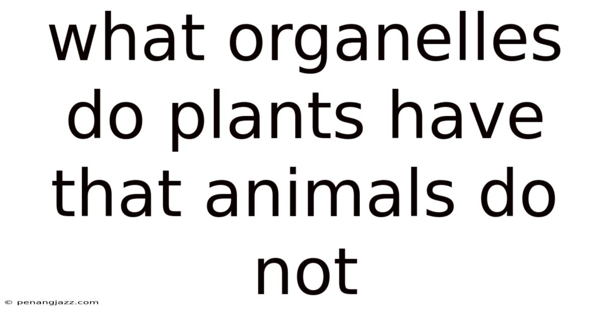 What Organelles Do Plants Have That Animals Do Not