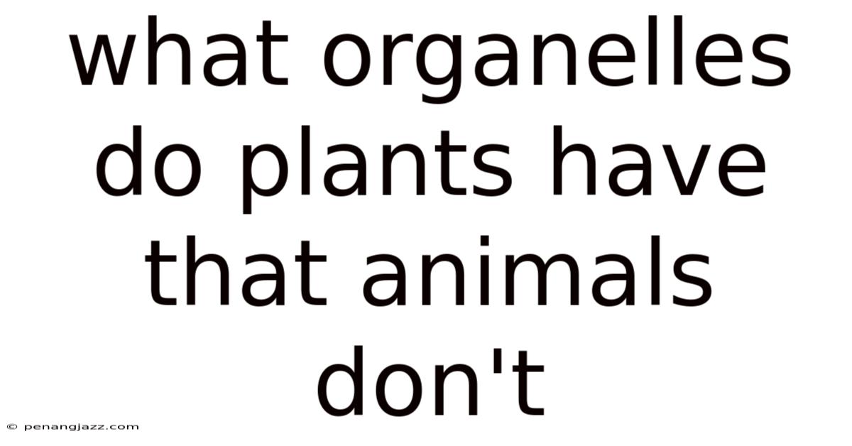 What Organelles Do Plants Have That Animals Don't
