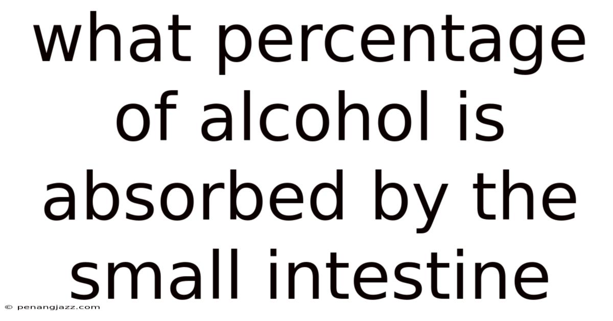What Percentage Of Alcohol Is Absorbed By The Small Intestine