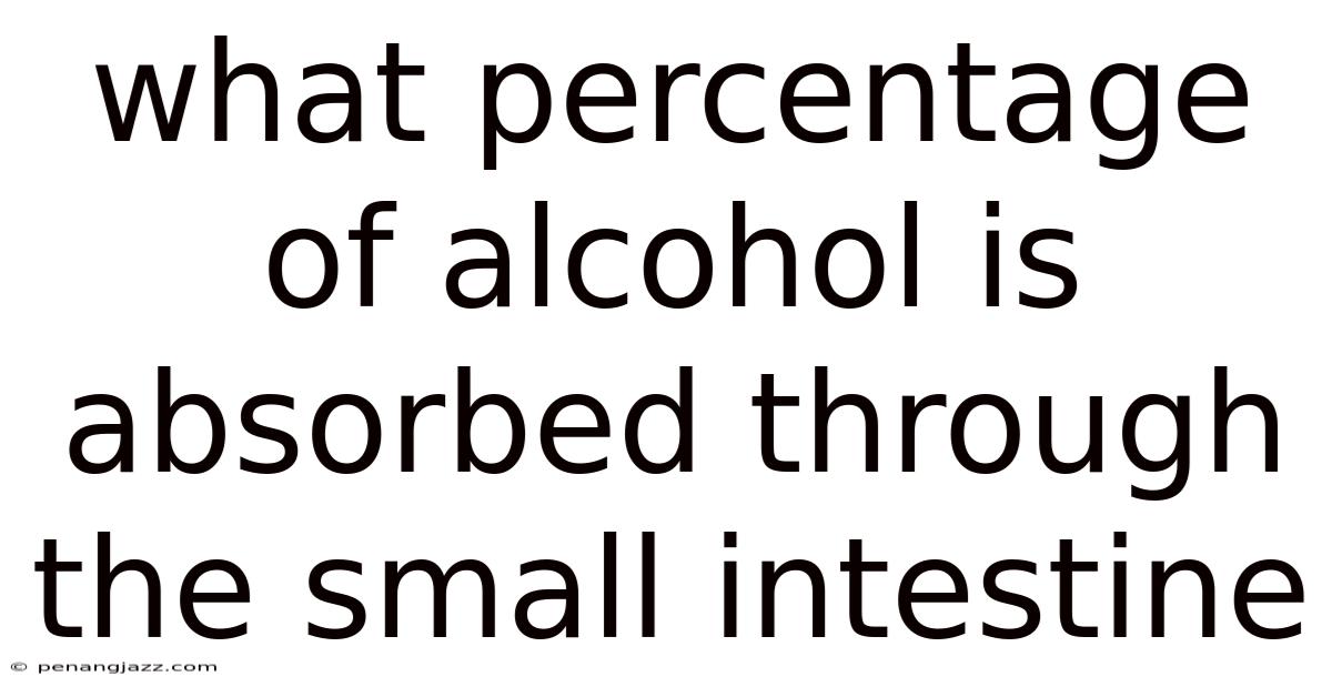 What Percentage Of Alcohol Is Absorbed Through The Small Intestine