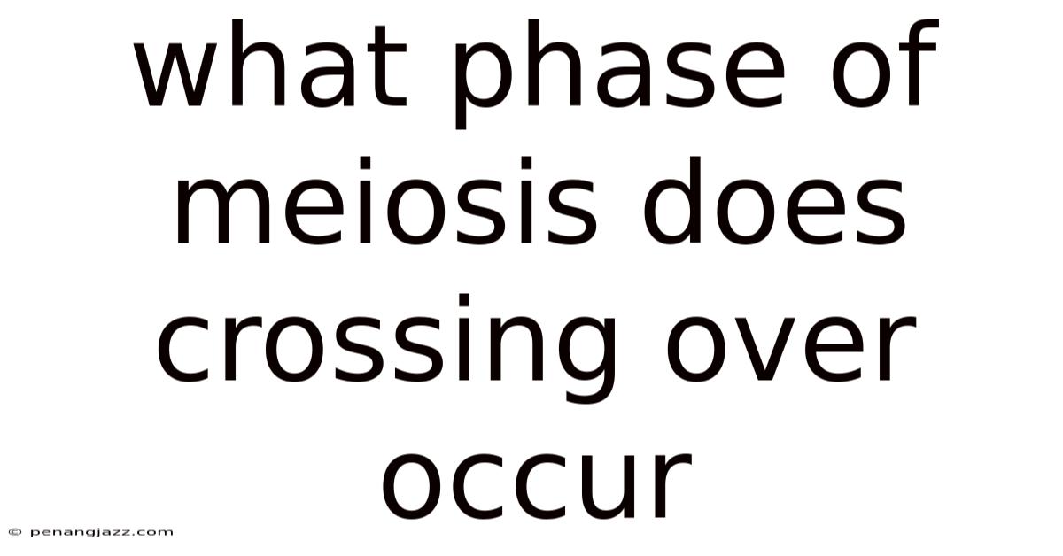 What Phase Of Meiosis Does Crossing Over Occur