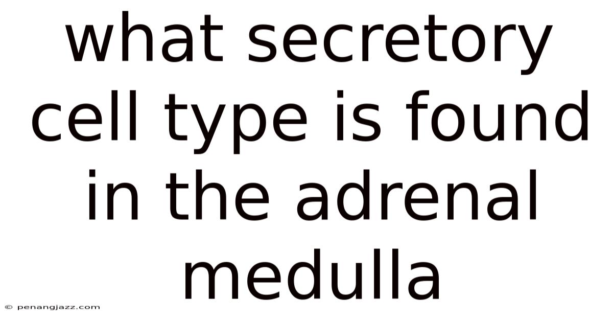 What Secretory Cell Type Is Found In The Adrenal Medulla