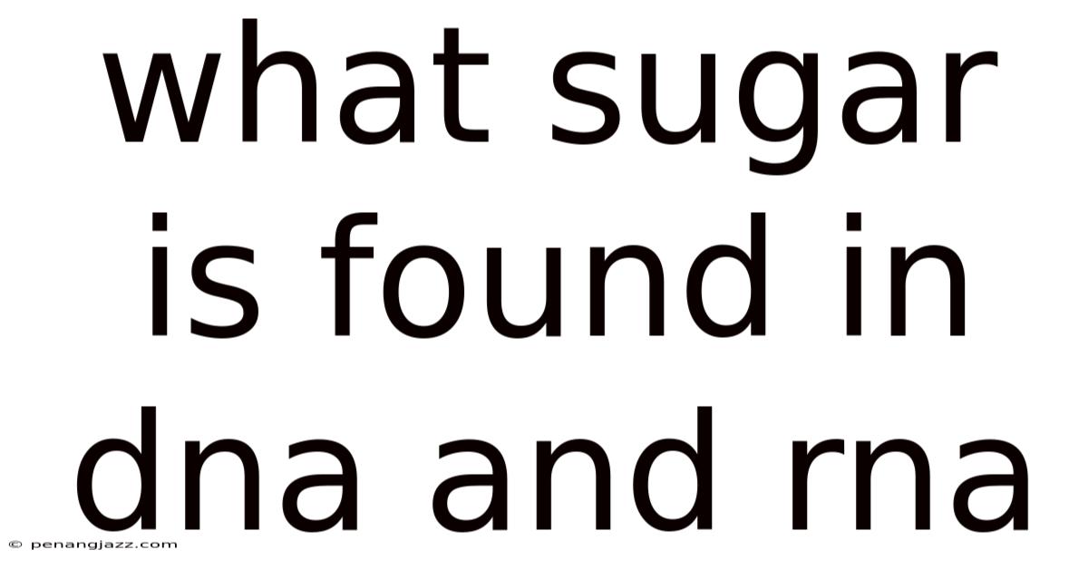 What Sugar Is Found In Dna And Rna