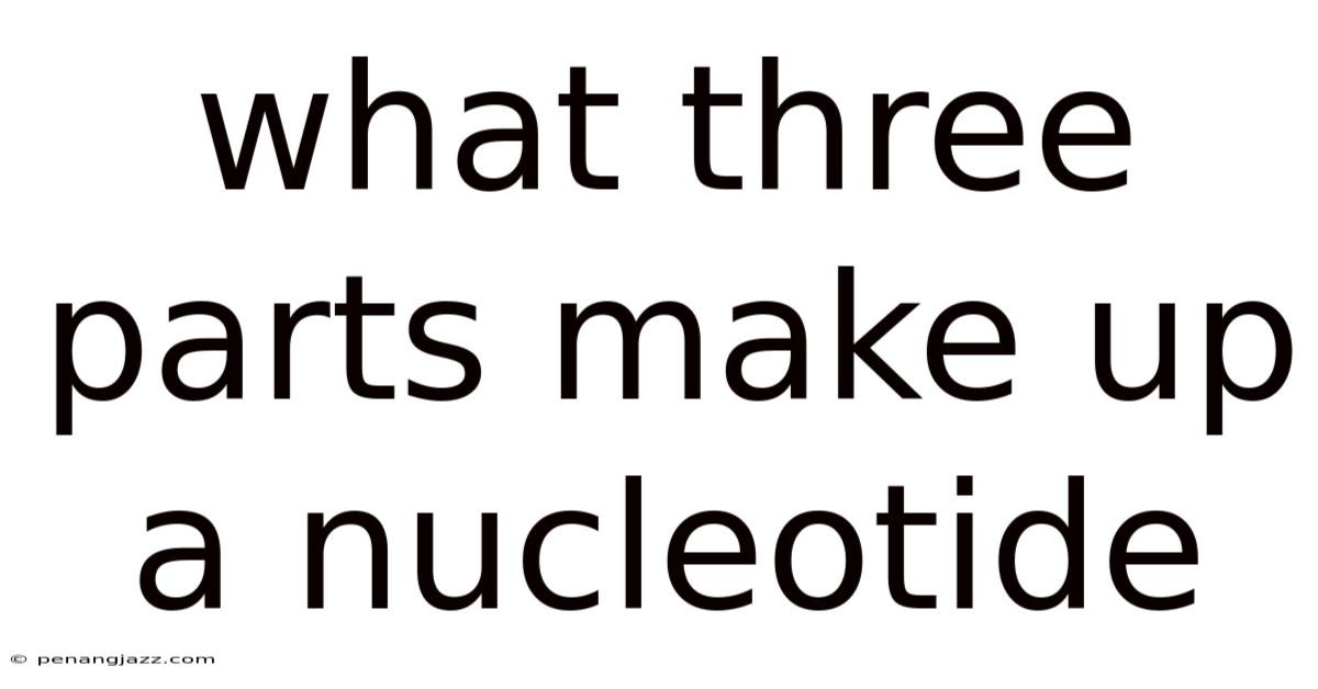 What Three Parts Make Up A Nucleotide