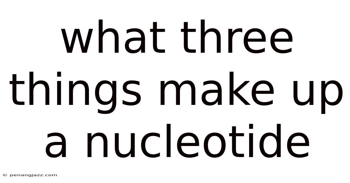 What Three Things Make Up A Nucleotide