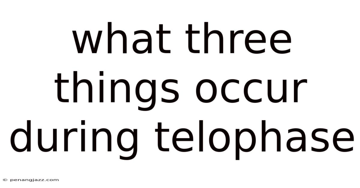 What Three Things Occur During Telophase