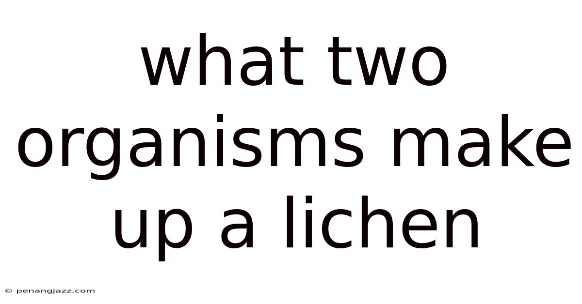 What Two Organisms Make Up A Lichen