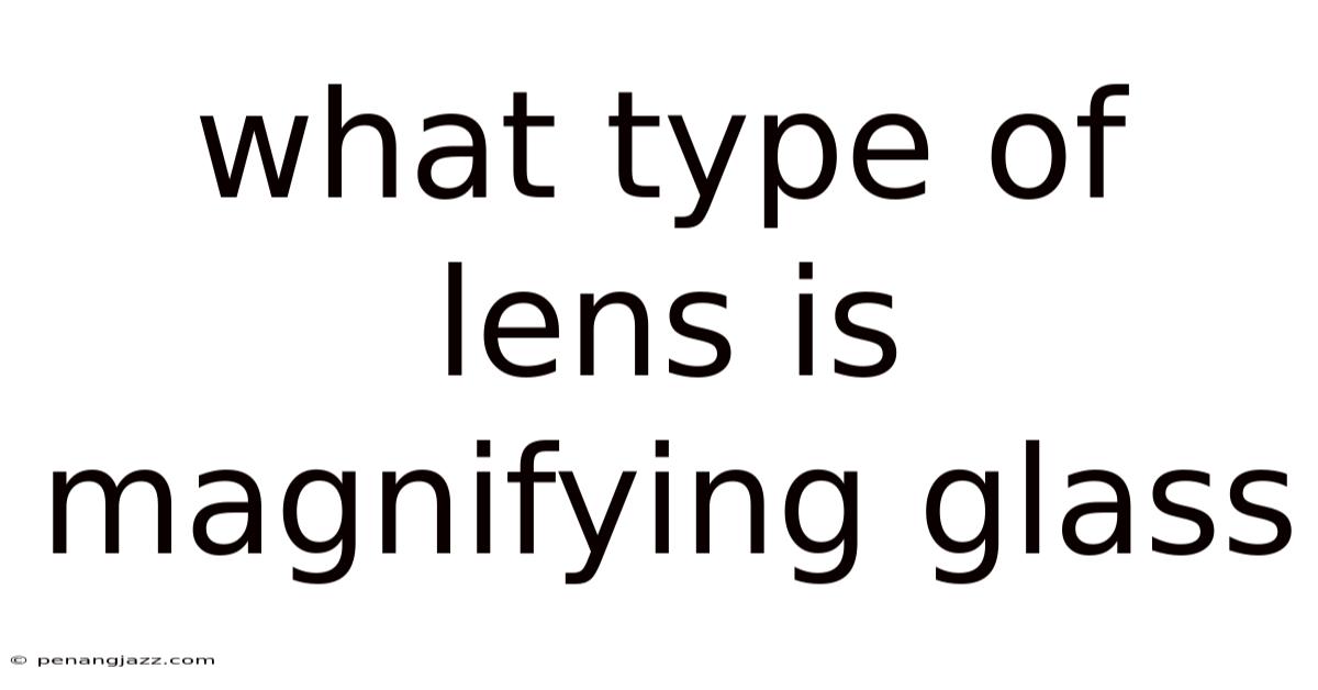 What Type Of Lens Is Magnifying Glass
