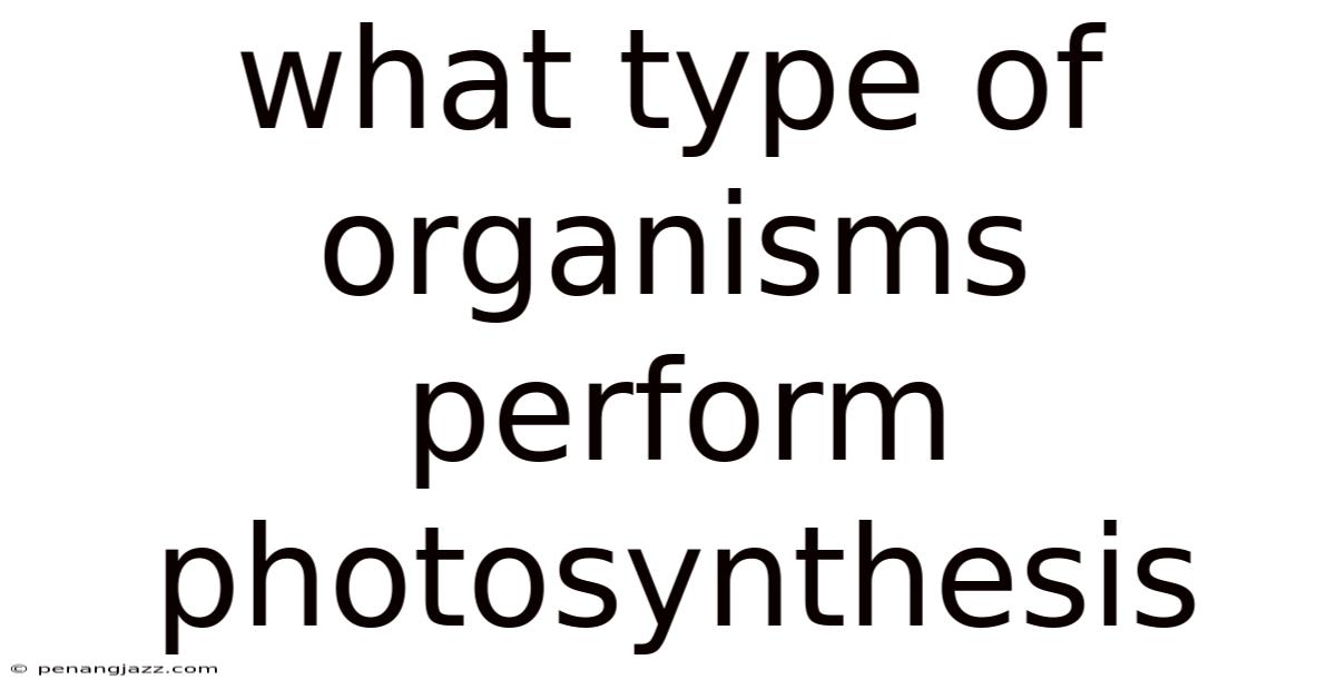 What Type Of Organisms Perform Photosynthesis