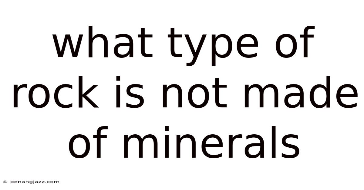 What Type Of Rock Is Not Made Of Minerals