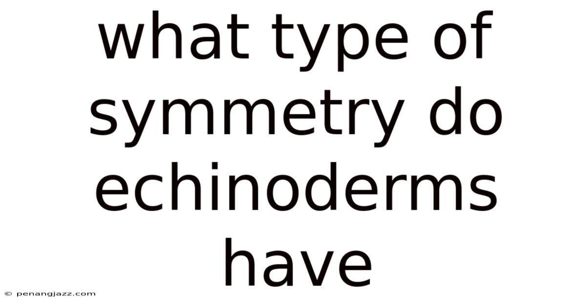 What Type Of Symmetry Do Echinoderms Have