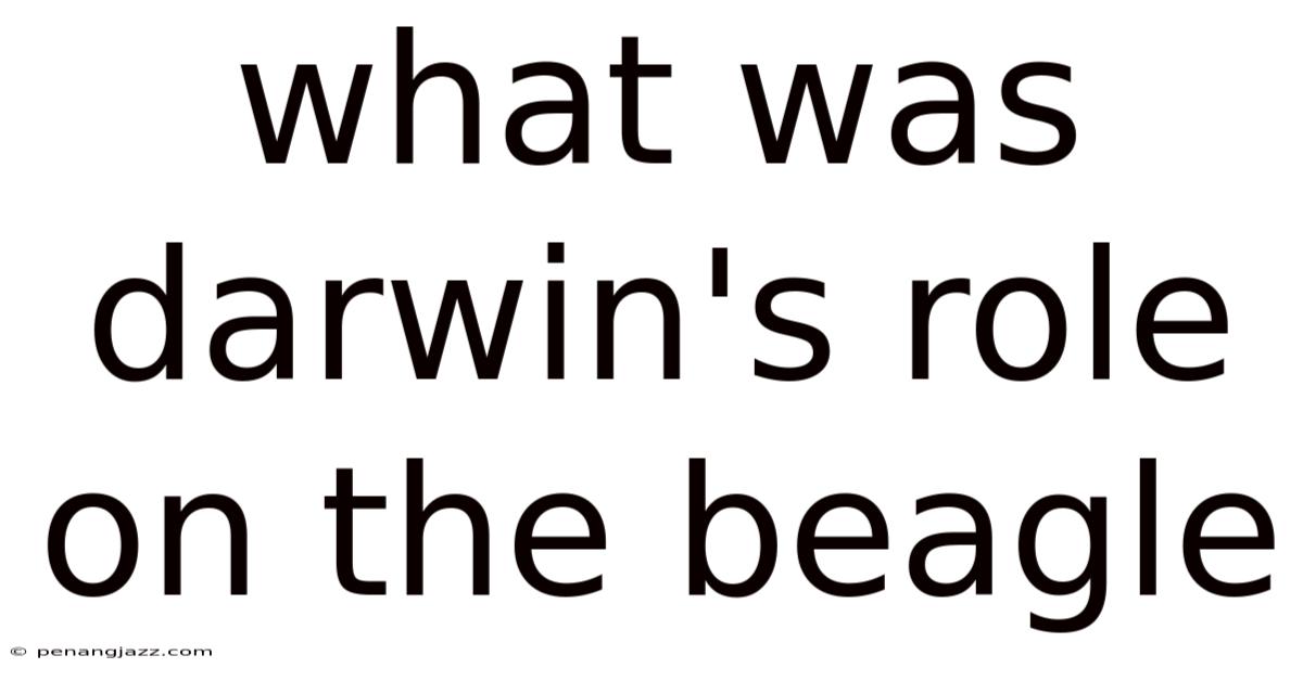 What Was Darwin's Role On The Beagle