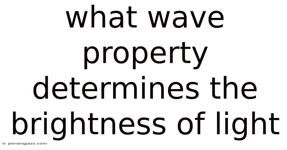 What Wave Property Determines The Brightness Of Light