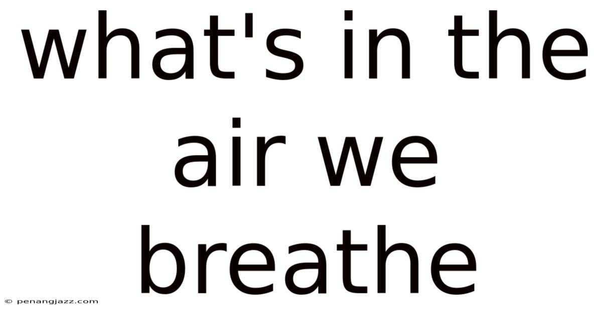 What's In The Air We Breathe