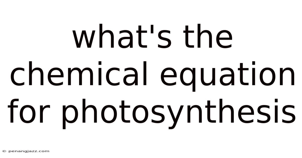 What's The Chemical Equation For Photosynthesis