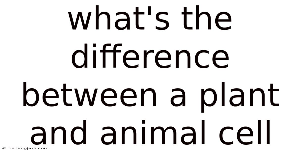 What's The Difference Between A Plant And Animal Cell