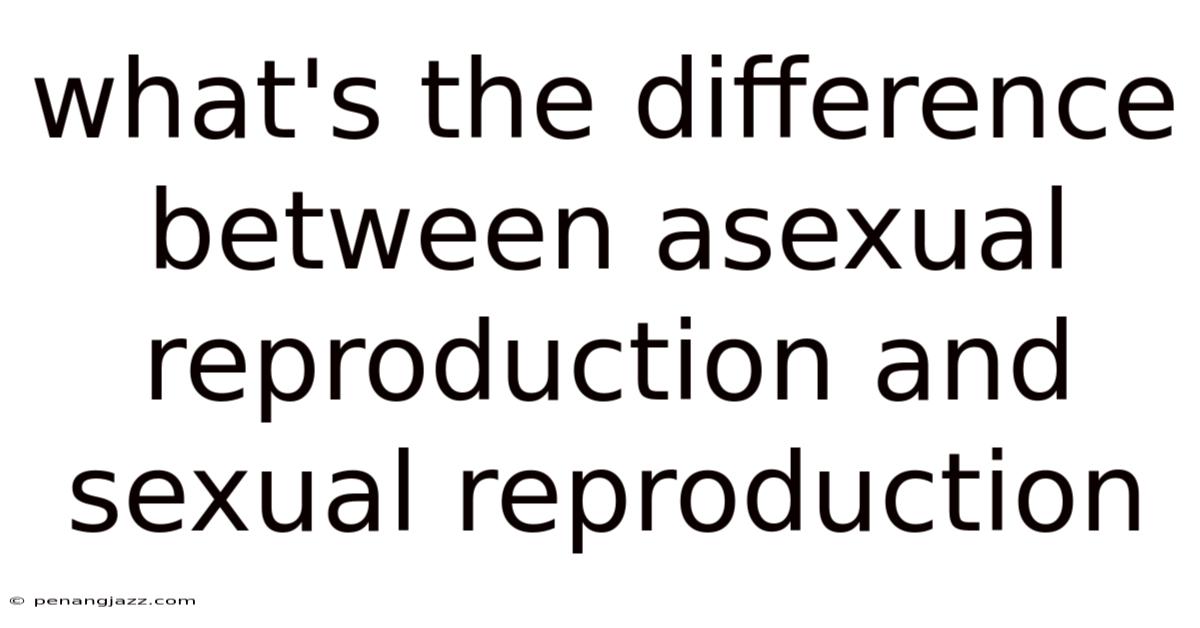 What's The Difference Between Asexual Reproduction And Sexual Reproduction
