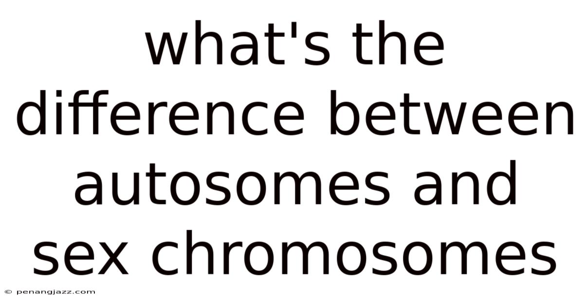 What's The Difference Between Autosomes And Sex Chromosomes